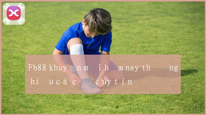 Fb88 khuyến mãi hôm nay thương hiệu cá cược uy tín