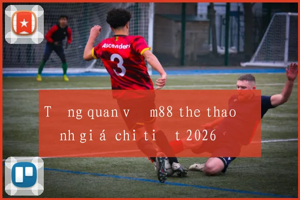 Tổng quan về m88 the thao đánh giá chi tiết 2026